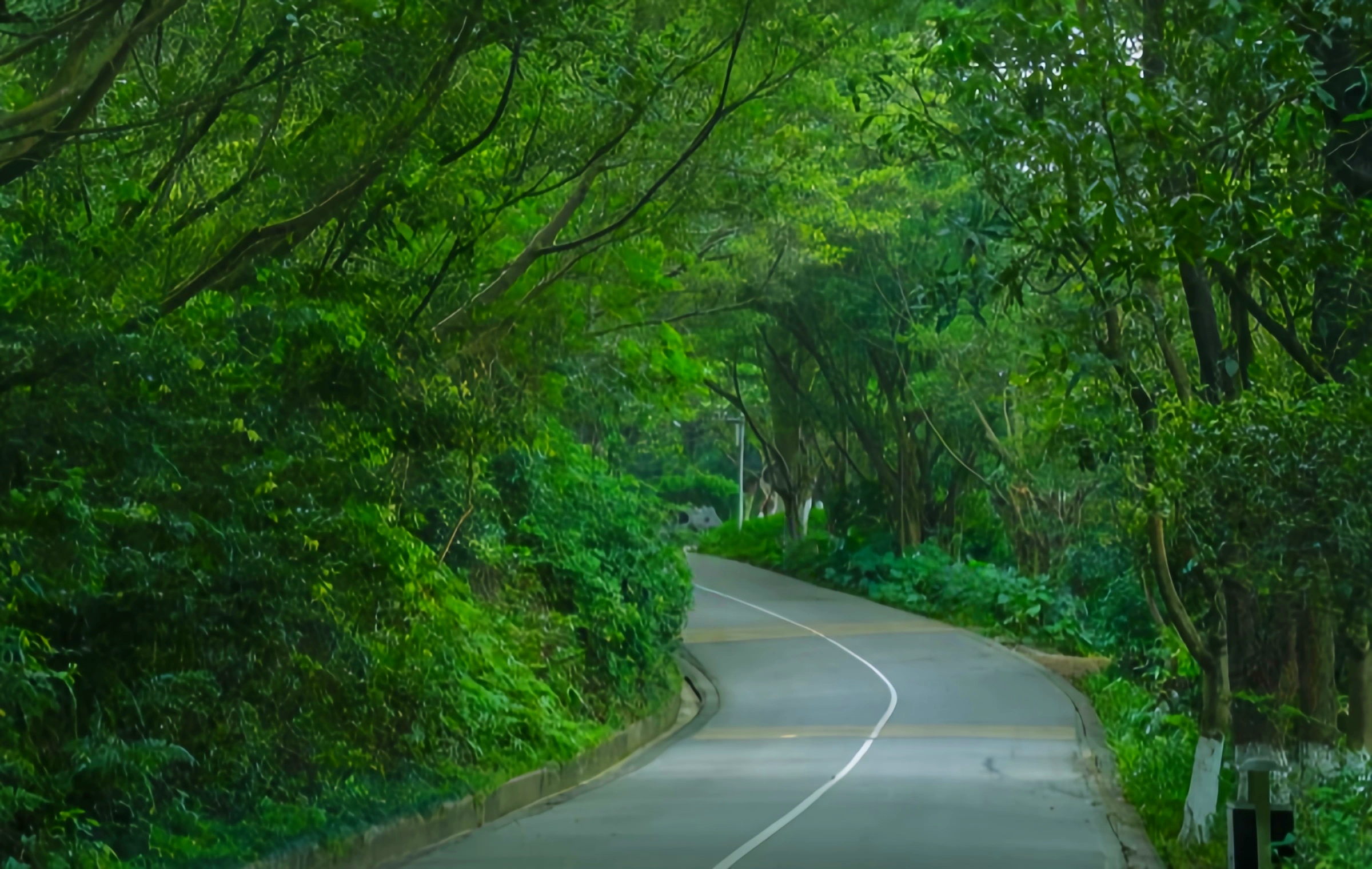 The Top 10 Famous Mountains in Guangzhou