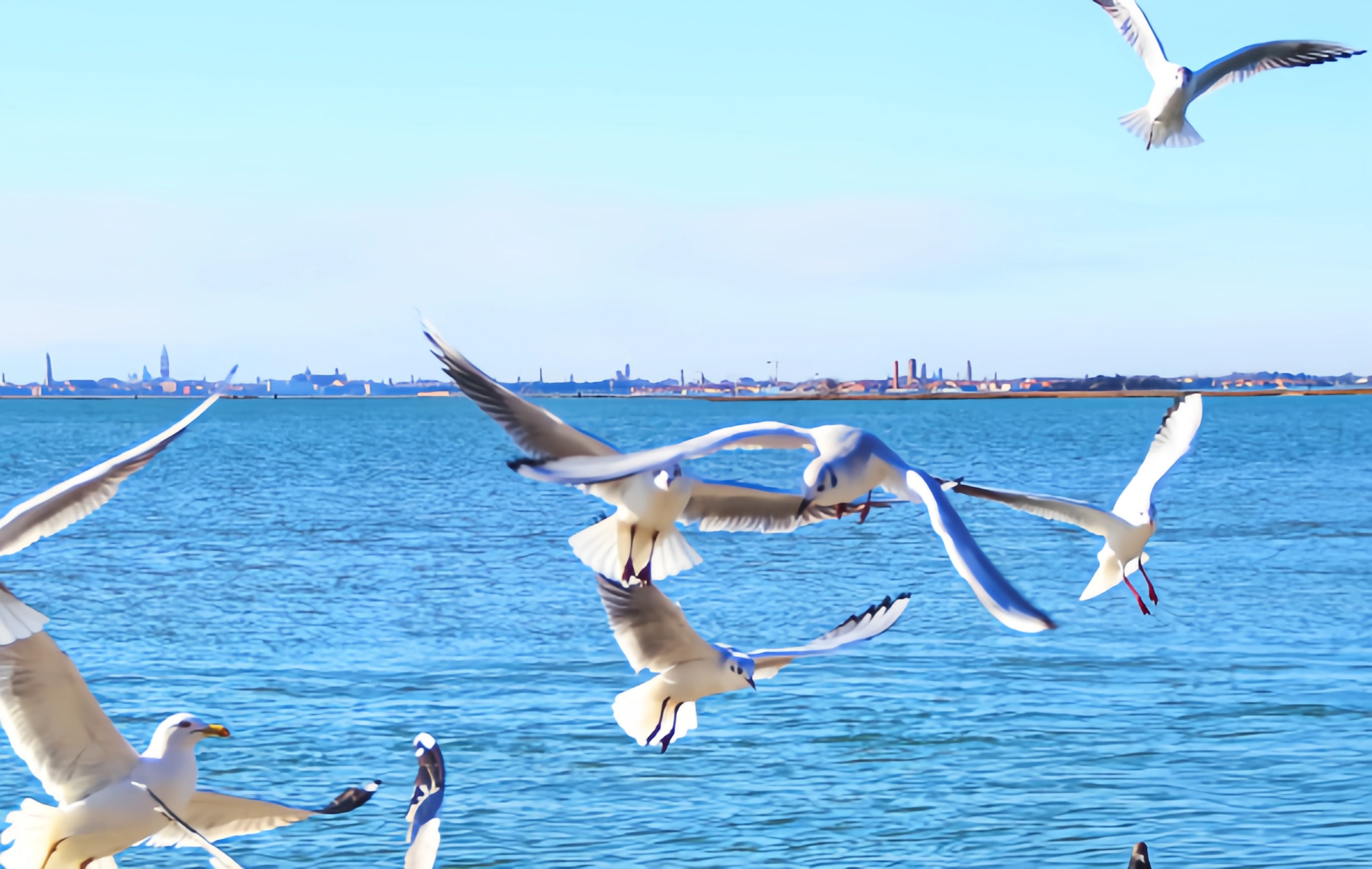  Dianchi Lake: A Millennium Poetic Journey from 