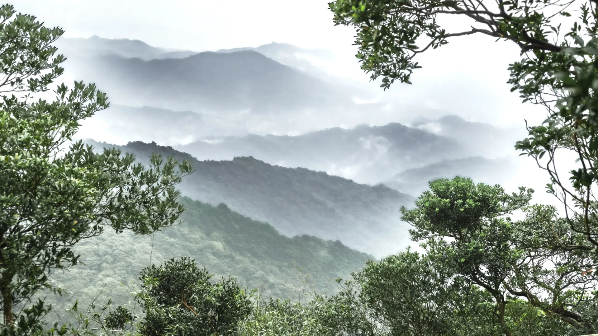 Luofu Mountain: A Journey to Discover the Wonderland of Lingnan's Premier Mountain-2