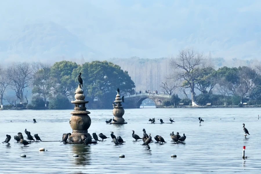 Three Pools Mirroring the Moon: A Garden-Making Journey from the Dredging Project of the Su Causeway to a Cultural Icon of West Lake-2