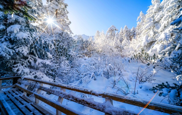 Hailuogou Glacier: An Ice Age within Reach and a Secret Realm of Snow Hot Springs-4