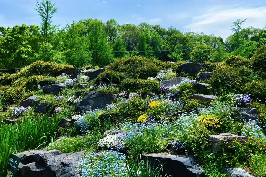 Chenshan Botanical Garden: A Green Rebirth Journey from Abandoned Mine to Ecological Sanctuary-3