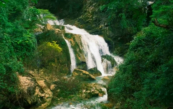 Maolan National Nature Reserve: An Expedition to the Primordial Karst Forest-3