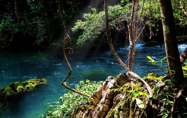 Maolan National Nature Reserve: An Expedition to the Primordial Karst Forest-4