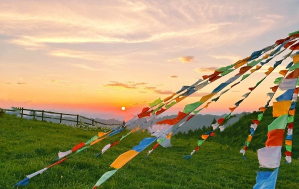 Caohai See: Eine Reise in die Highland Pearl, Winter Haven für Migrationsvögel und Wetland Wonderland-2