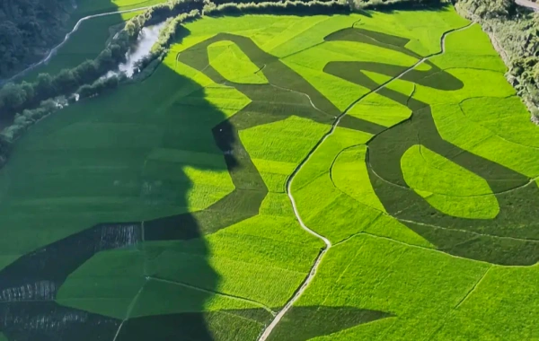 Dragon Palace: A Journey to the Underground Karst Museum and the Legendary 