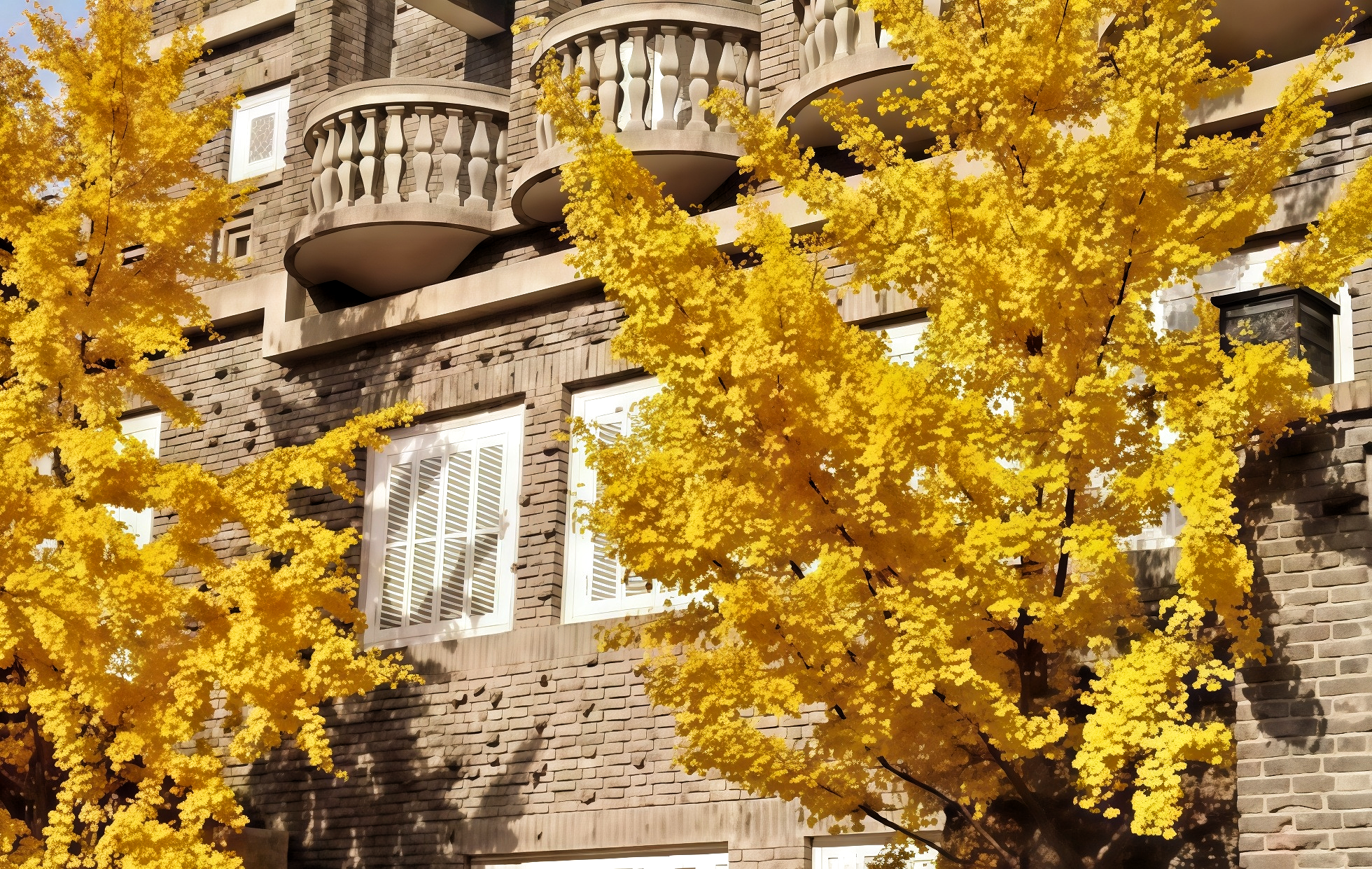  The Five Great Avenues (Wudadao): A Century of History Amidst a 