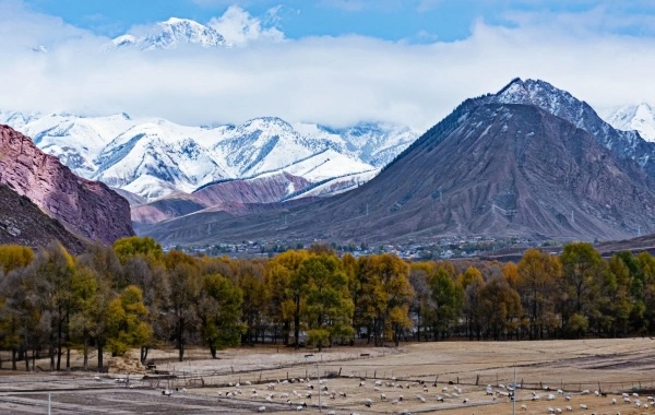 Qilian Mountains: An Ecological Miracle—From a 