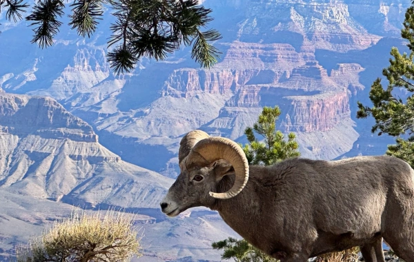 Tianshan Grand Canyon: A Pastoral Sanctuary and Natural Museum at the Foot of the Tianshan Mountains-4