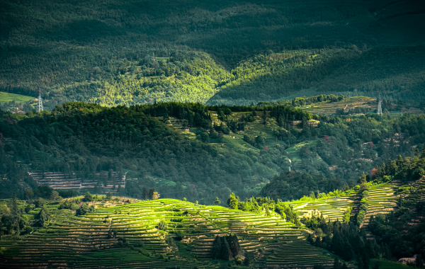 Wuyi Mountain:A Hidden Gem of Tea Culture,a World Heritage Site Amidst Emerald Waters and Crimson Peaks-3