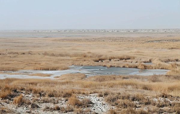 Yumenguan Pass: Eine Reise durch zweitausend Jahre Frontier Poesie und Vigilanz-2