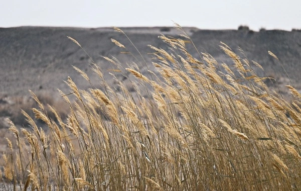Yumenguan Pass: Eine Reise durch zweitausend Jahre Frontier Poesie und Vigilanz-4