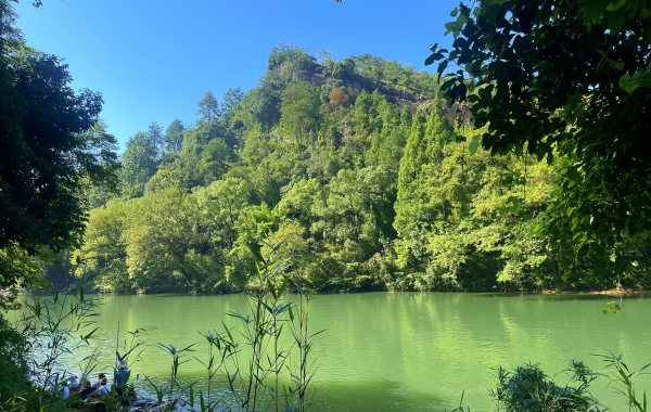 Wuyi Palace:A Sacred Temple of Wuyi Culture Where a Thousand-Year-Old Taoist Temple Intertwines with a Song Dynasty Street-3