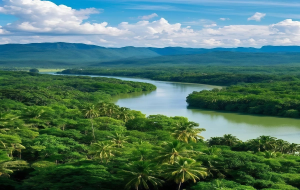 Primeval Forest Park: A Journey into the Secret Realm of the Peacock Kingdom and Tropical Rainforests-3