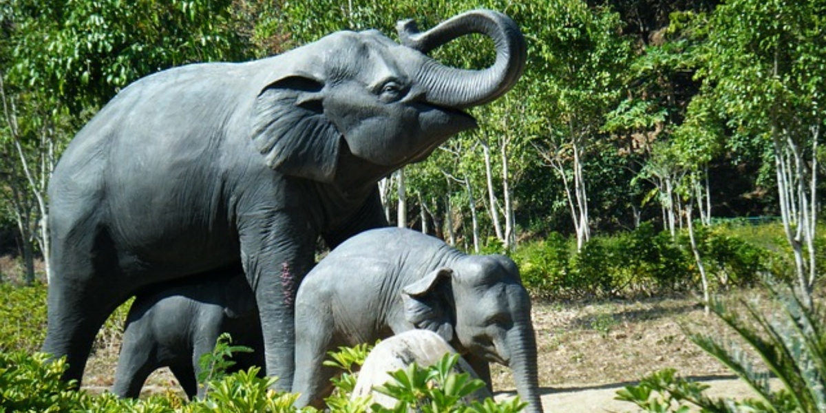 Xishuangbanna Subtropical Nature and Culture Tour