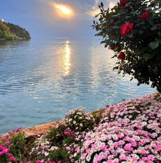 4 Days Yunnan Spring Scenery Tour