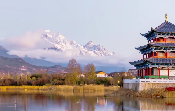 Multilingual Execution