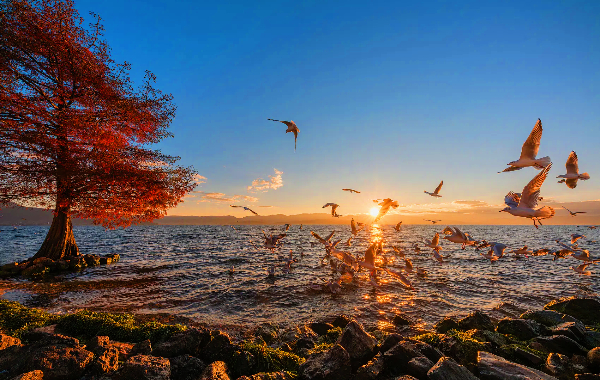 Day 2: Kunming - Dali