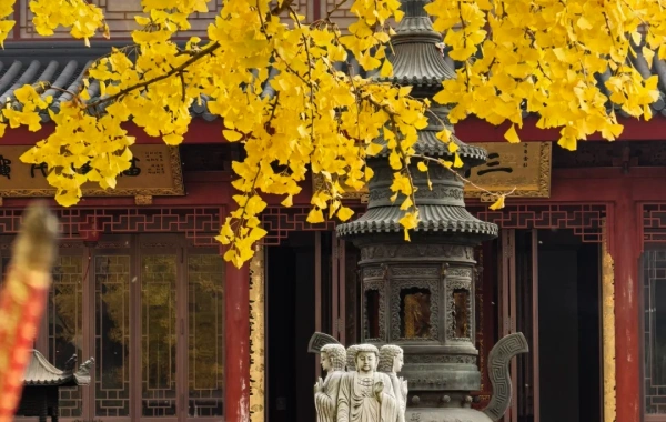 Chengdu Leshan Chongqing Cultural&Natural Tour