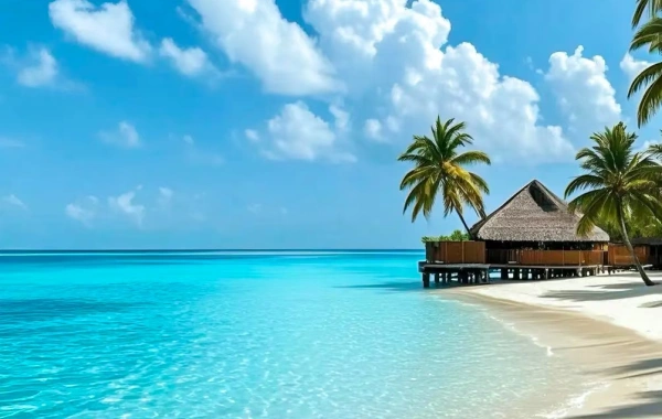 Visite privée de 2 jours à Sanya: Nanshan Park et l'île de Wuzhizhou