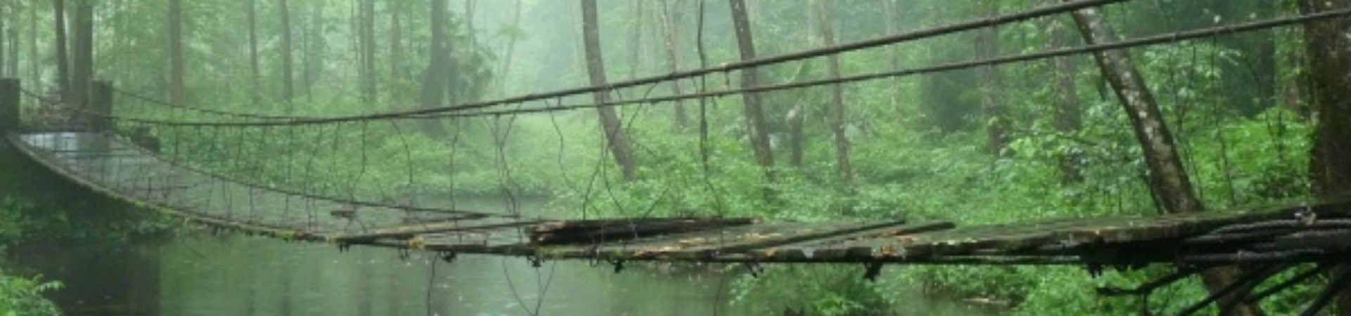 Shanghai Zhangjiajie Guiyang Chongqing 10-Day Tour