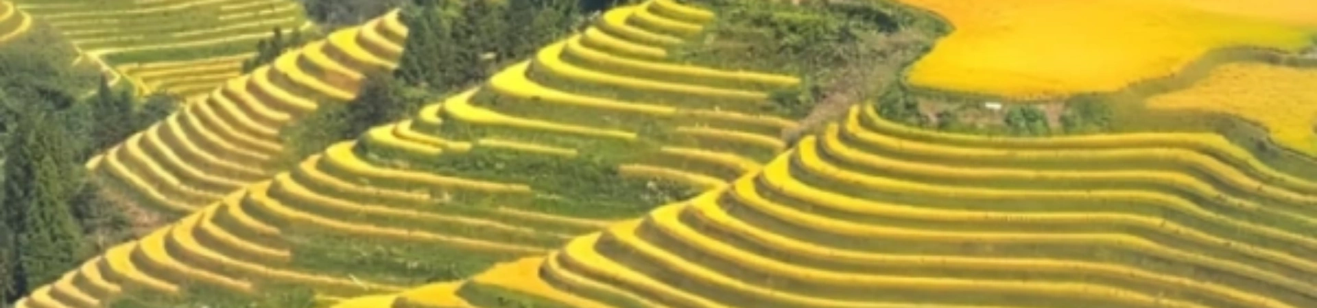 9-Day Guangzhou, Guilin & Guizhou Tour
